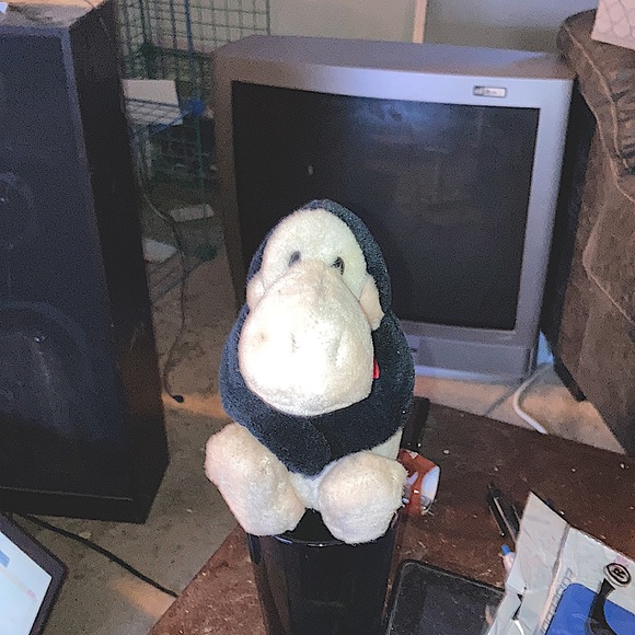 Opus - Picture 2 of 5